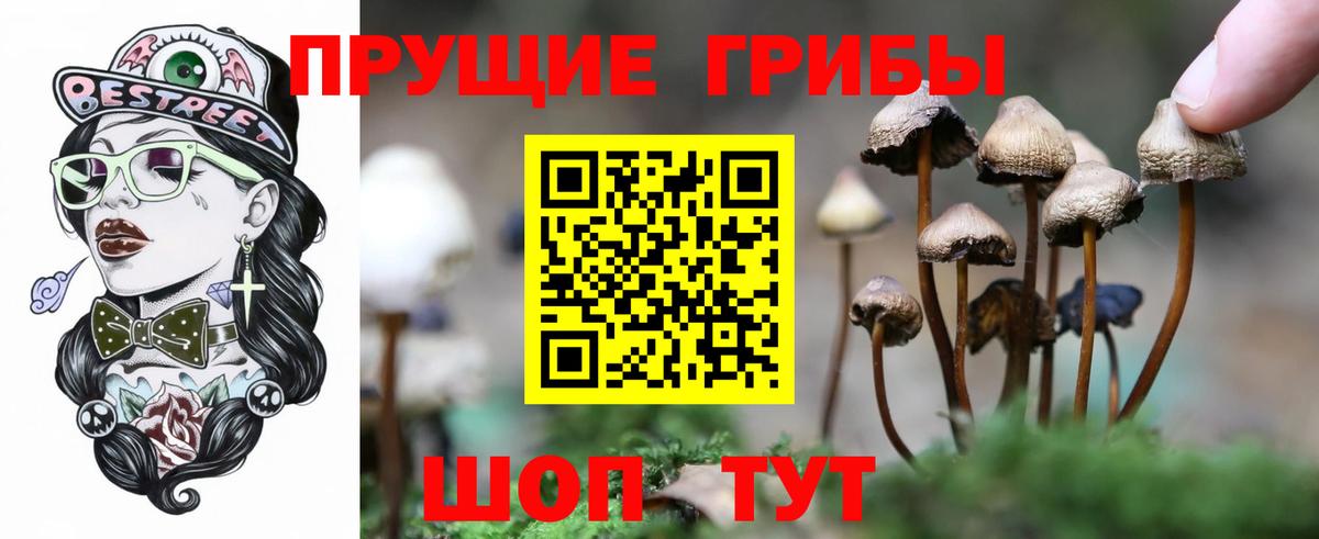 Псилоцибиновые грибы GOLDEN TEACHER Углич